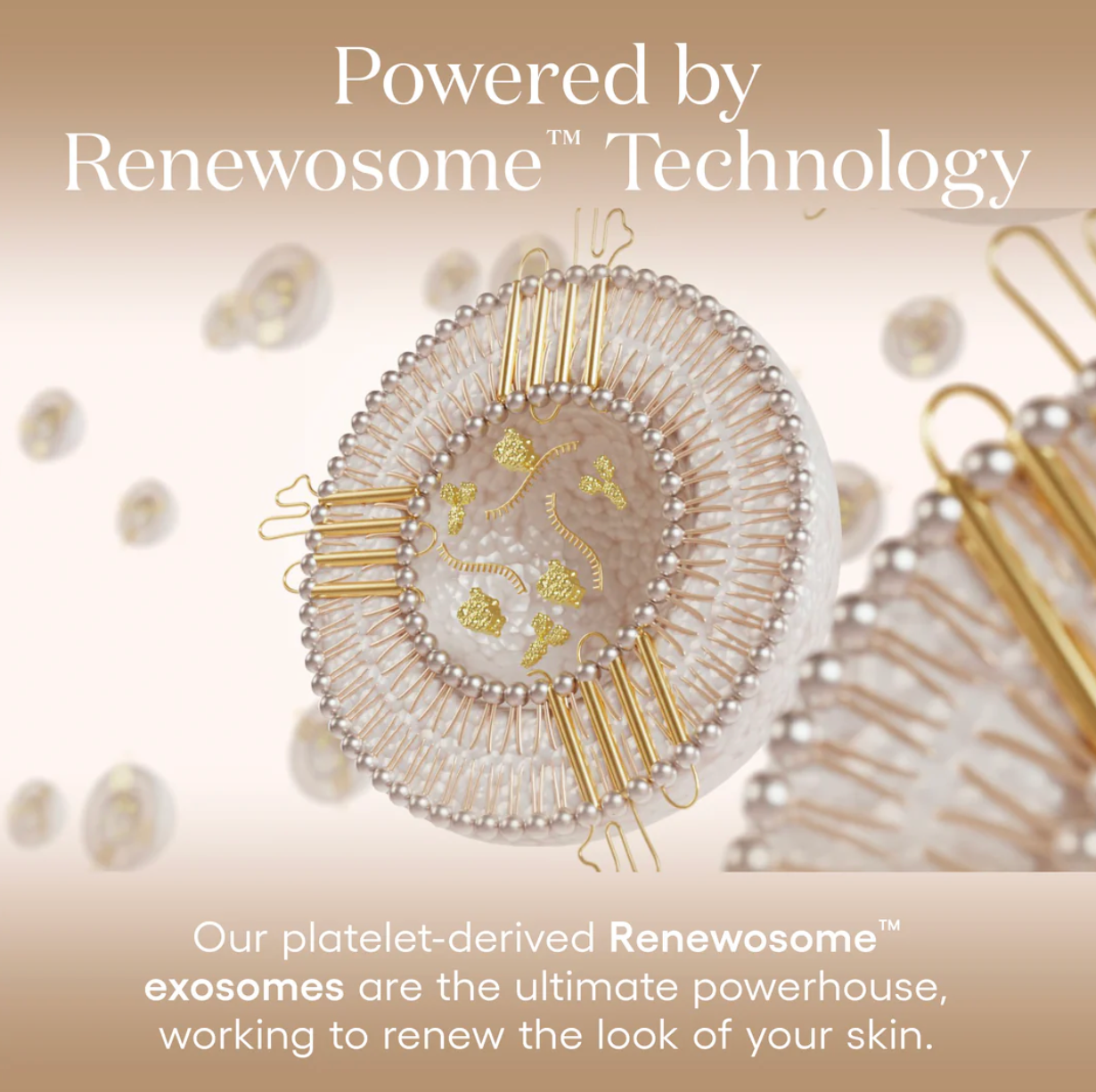 Plated - Daily Serum